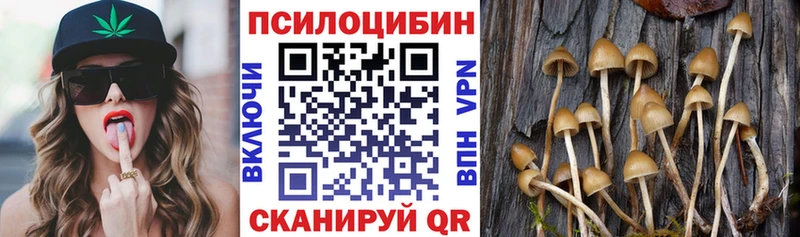 Псилоцибиновые грибы Magic Shrooms  Фокино 